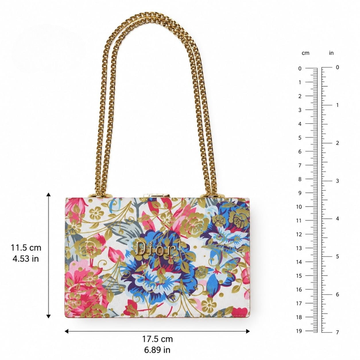 DIOR Luxury Printed Acrylic Box Clutch Bag with Gold Chain Handles